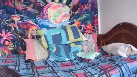 Snapshot of sexydarkhunter2 chatting on January 14, 4:56 pm Mike online show from January 14, 4:56 pm