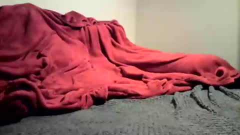 Snapshot of sexygg8331 chatting on December 16, 1:10 am sexygg8331 online show from December 16, 1:10 am