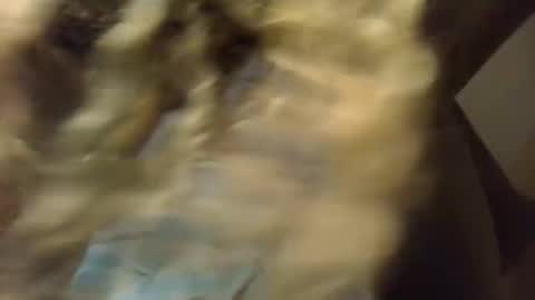 SexyKitty online show from November 21, 5:50 am