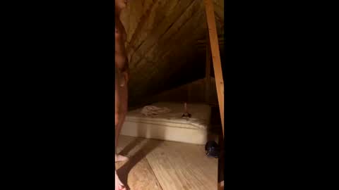 Smooth bi guy online show from March 7, 8:11 am