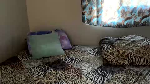 Snapshot of shamanwoman chatting on December 6, 5:11 pm Shaman Woman online show from December 6, 5:11 pm