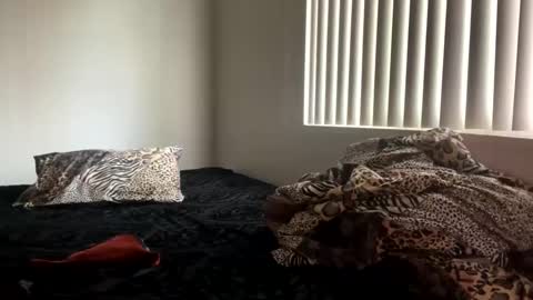 Snapshot of shamanwoman chatting on December 25, 8:07 pm Shaman Woman online show from December 25, 8:07 pm