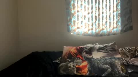 Snapshot of shamanwoman chatting on December 27, 7:24 pm Shaman Woman online show from December 27, 7:24 pm
