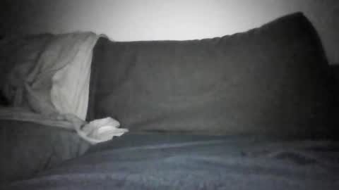 Shorty online show from December 17, 6:14 pm