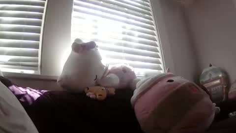 Snapshot of shampooprincess001 chatting on March 21, 8:12 pm shampooprincess001 online show from March 21, 8:12 pm