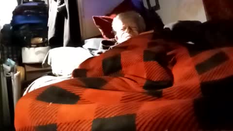 Snapshot of sharoc666 chatting on December 4, 12:03 pm Shamroc online show from December 4, 12:03 pm