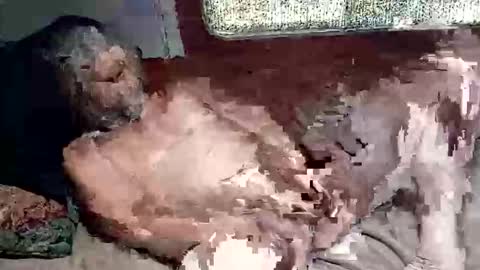 Snapshot of sharoc666 chatting on March 4, 2:45 pm Shamroc online show from March 4, 2:45 pm