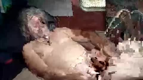 Snapshot of sharoc666 chatting on March 5, 2:02 pm Shamroc online show from March 5, 2:02 pm