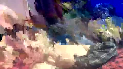 Snapshot of sharoc666 chatting on March 22, 12:58 am Shamroc online show from March 22, 12:58 am