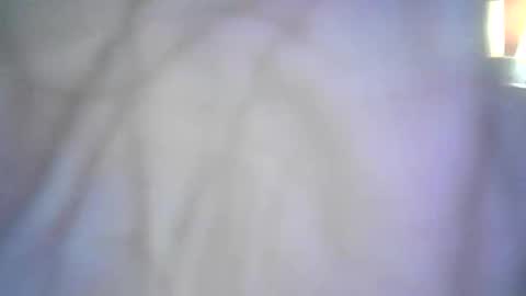 Snapshot of shellbel46290 chatting on January 16, 5:00 am shellbel46290 online show from January 16, 5:00 am