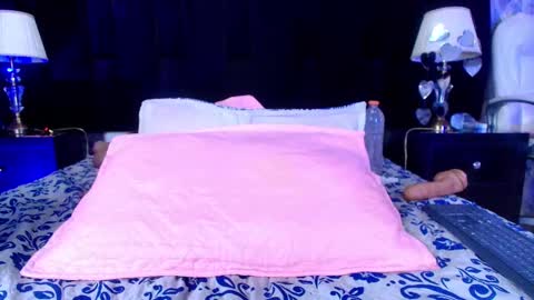 Snapshot of shelsy_loreds chatting on February 19, 2:55 pm Shelsy online show from February 19, 2:55 pm