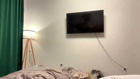 Snapshot of shereebriggerman chatting on April 2, 8:17 pm Eve online show from April 2, 8:17 pm