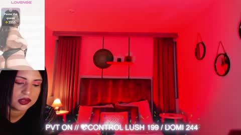 Snapshot of sheyla_hills_ chatting on January 30, 4:06 am Sheyla online show from January 30, 4:06 am