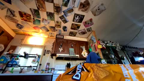 shorty920505 online show from September 29, 10:03 pm