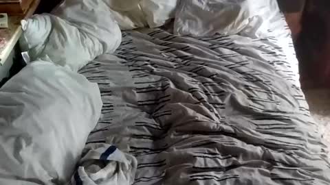 tomuchfunn online show from April 3, 10:52 pm