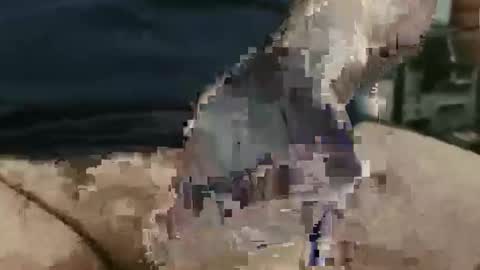 Snapshot of showsme chatting on September 22, 12:07 pm showsme online show from September 22, 12:07 pm