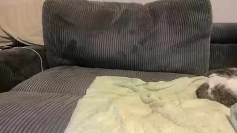 Call Me Yours online show from April 28, 7:35 am