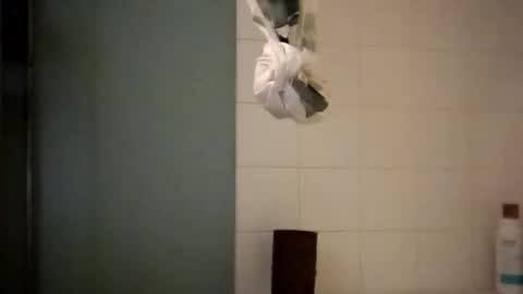 sigmaelixer online show from October 18, 8:37 am