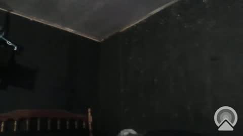 Snapshot of sikwitit625 chatting on December 29, 4:40 pm Cdub625 online show from December 29, 4:40 pm