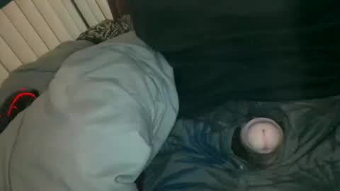 Snapshot of silentstiffler chatting on November 30, 4:27 am silentstiffler online show from November 30, 4:27 am