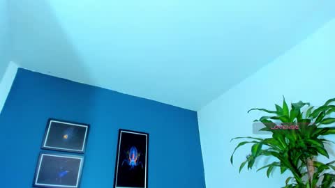 silvabranko online show from November 9, 1:04 am