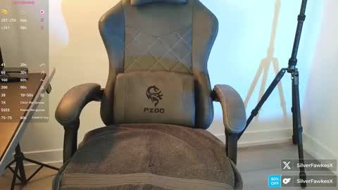 Snapshot of silverfawkesx chatting on March 22, 2:53 pm silverfawkesx online show from March 22, 2:53 pm