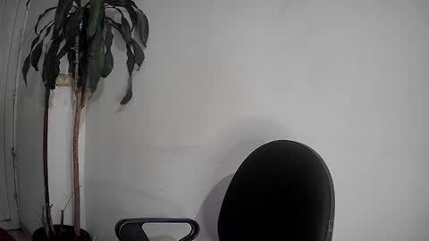 Snapshot of silviecollins chatting on December 2, 12:52 am Silvie online show from December 2, 12:52 am