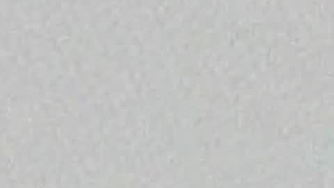 regina online show from April 29, 9:57 am