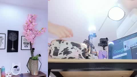 Siouxsie online show from February 15, 11:19 am