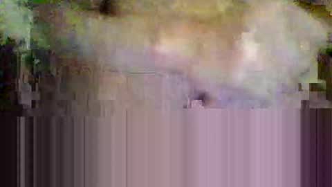 sisinyedz0000 online show from February 4, 5:41 pm