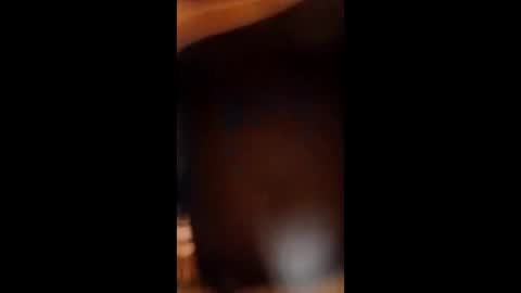 Snapshot of sissybottomcock chatting on December 4, 6:55 am sissybottomcock online show from December 4, 6:55 am