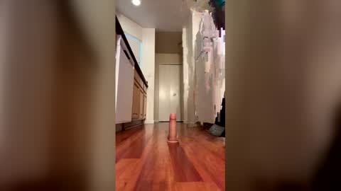 Snapshot of sissymiles chatting on December 19, 9:00 pm SissyMiles online show from December 19, 9:00 pm