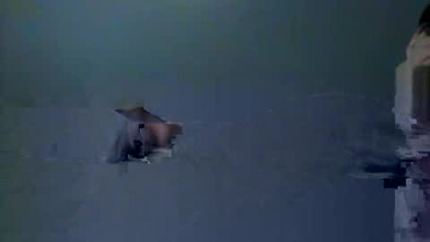 Snapshot of skeeter4fun73 chatting on December 20, 1:40 pm skeeter4fun73 online show from December 20, 1:40 pm