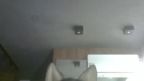 skinnykittencam online show from November 25, 1:16 am