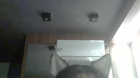 skinnykittencam online show from January 11, 12:26 am