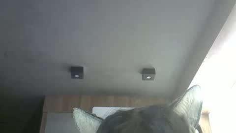 skinnykittencam online show from May 12, 11:51 am