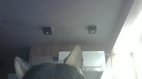 skinnykittencam online show from May 14, 9:05 am