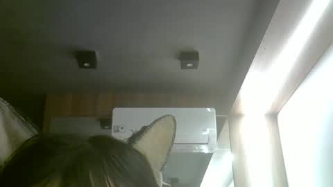 skinnykittencam online show from May 18, 8:47 pm