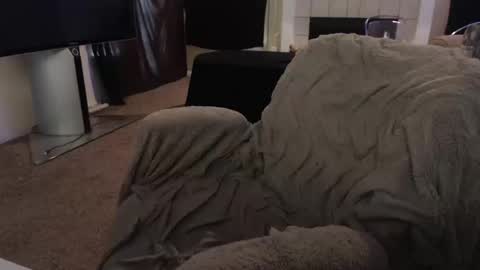 Snapshot of skyblu1 chatting on October 10, 9:03 pm SKYLE online show from October 10, 9:03 pm