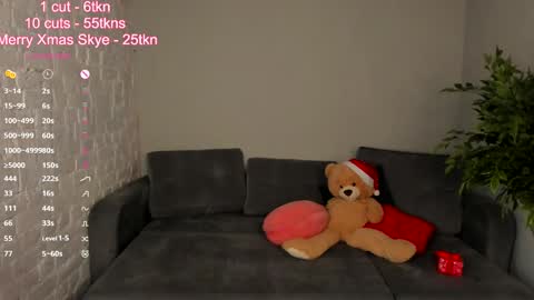 Snapshot of skye_shy chatting on December 27, 4:43 pm Skye online show from December 27, 4:43 pm