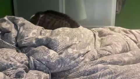 Snapshot of slice5 chatting on December 21, 9:49 am slice5 online show from December 21, 9:49 am