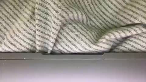 Snapshot of slice5 chatting on March 21, 9:36 am slice5 online show from March 21, 9:36 am