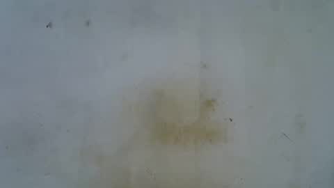 Snapshot of slim_girl3 chatting on October 22, 7:19 am slim_girl3 online show from October 22, 7:19 am