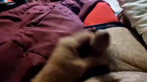 slitlicke69696969 online show from October 20, 9:10 am