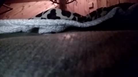 Snapshot of slurryyy chatting on March 29, 1:38 am slurryyy online show from March 29, 1:38 am