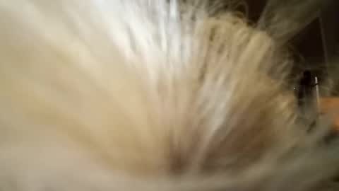 Snapshot of slutrider69 chatting on April 4, 11:51 am Fun time online show from April 4, 11:51 am