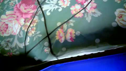 Snapshot of sly_booty4 chatting on November 1, 8:44 pm sly_booty4 online show from November 1, 8:44 pm