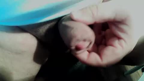 Snapshot of smallpforu chatting on February 11, 3:50 pm Small Pekka online show from February 11, 3:50 pm