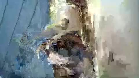 smiley_berry online show from September 30, 7:30 pm