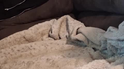 smitten_kitten1313 online show from February 22, 2:34 am